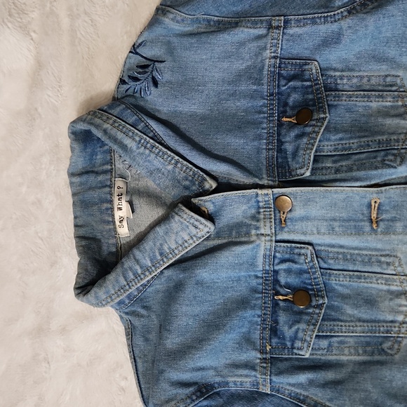 Embroidered Jean Jacket - Picture 2 of 4